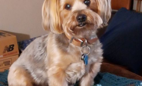 Bow-Wow Boutique 5030 O Ave, Cherokee Iowa 51012