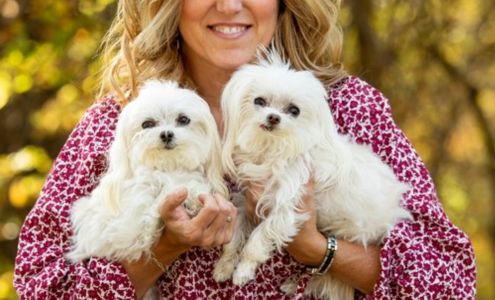 Tracy Hough - State Farm Insurance Agent