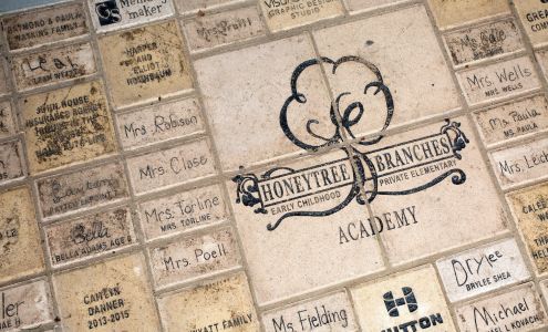 Honey Tree & Branches Academy