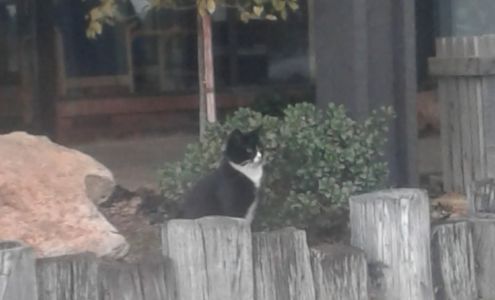 David Grissett - State Farm Insurance Agent