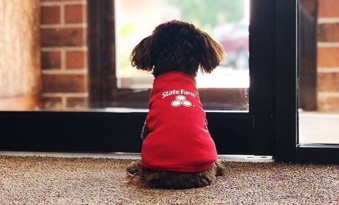 Debbie Swinney - State Farm Insurance Agent