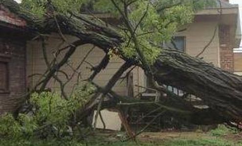 Priced Right Tree Service Deepwater