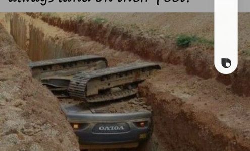 Bee's Honey Wagon LLC Osceola