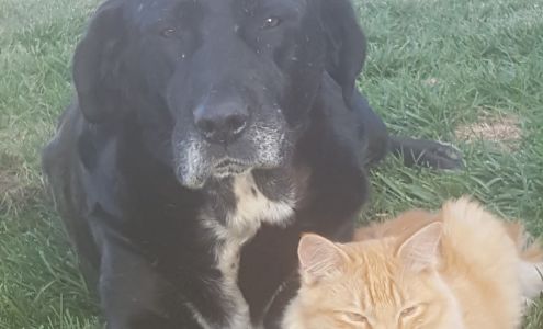 Pierce Heating and Cooling Bendena