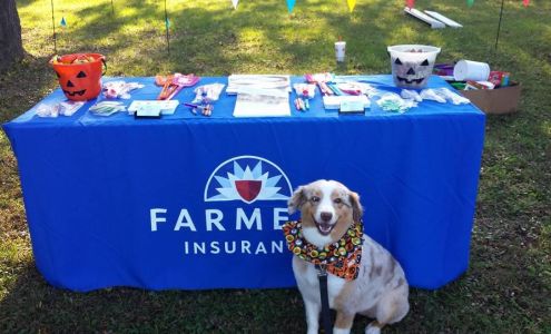 Farmers Insurance - Douglas Shrout