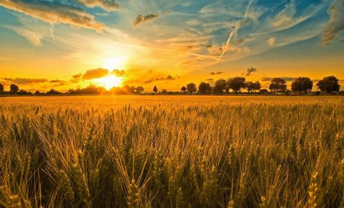 Shinn Appraisals LLC Seneca