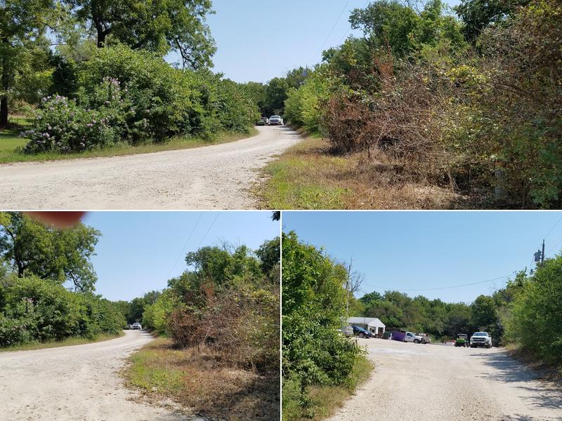 Best Pest Control Co