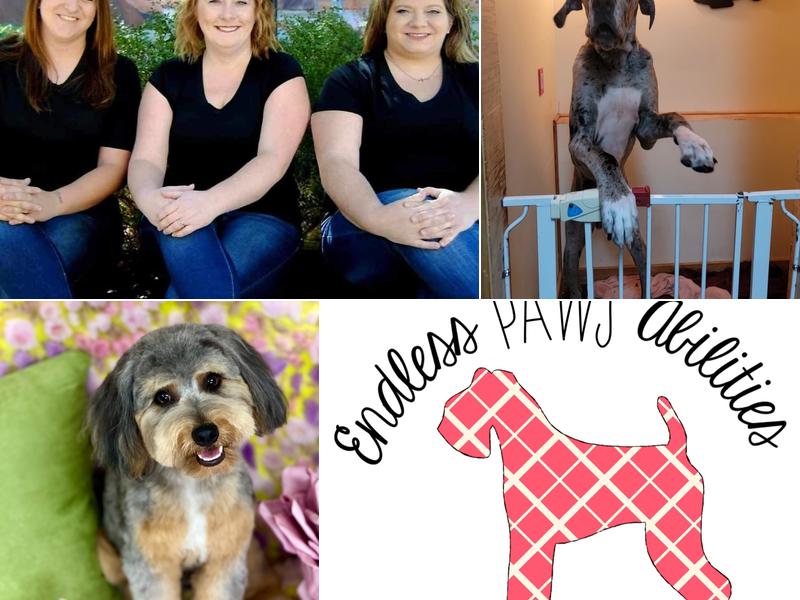 Endless PAWS Abilities