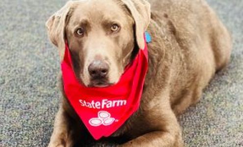 Kevin Stewart - State Farm Insurance Agent