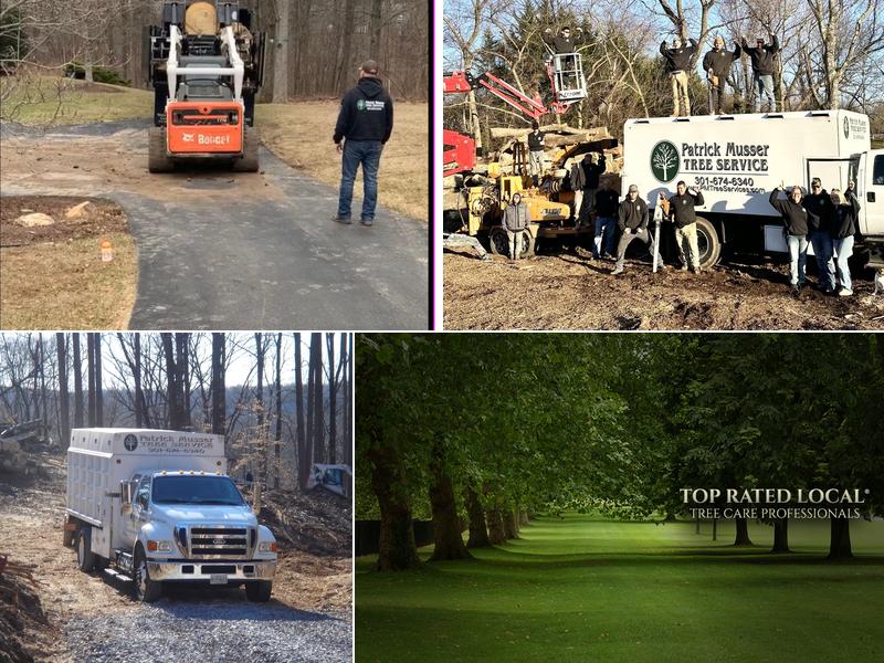 Patrick Musser Tree Service