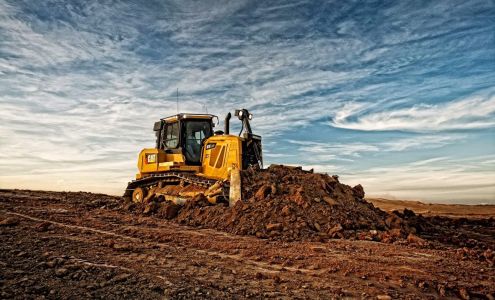 Louisiana Cat - Hammond