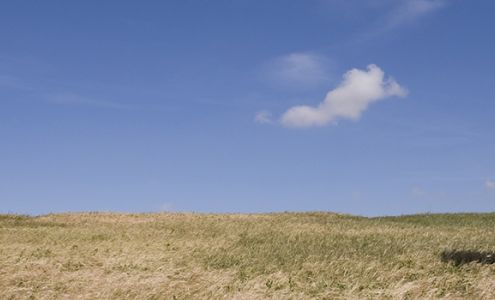 A Plus Property & Casualty Ins