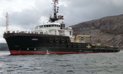 Louisiana Cat Power - Port Fourchon Golden Meadow