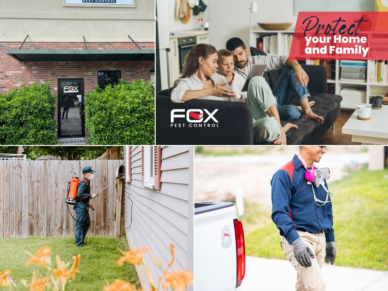Fox Pest Control - Baton Rouge