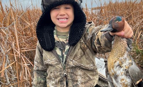 Trey Hargrove - State Farm Insurance Agent