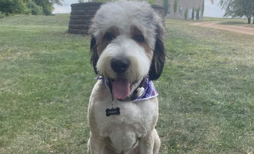 Kiings grooming 149 N Meridian St, Belle Plaine Minnesota 56011