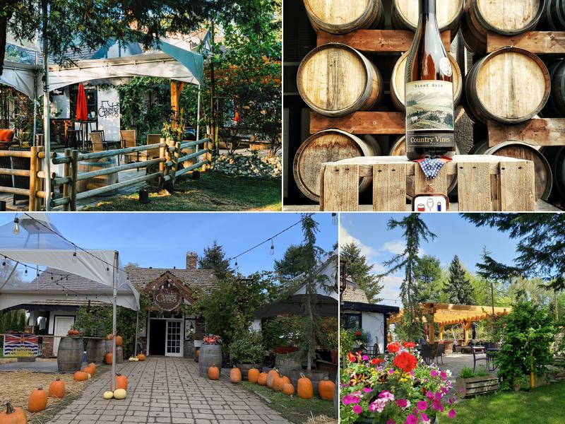 Country Vines Winery 13060 Steveston Hwy, Richmond