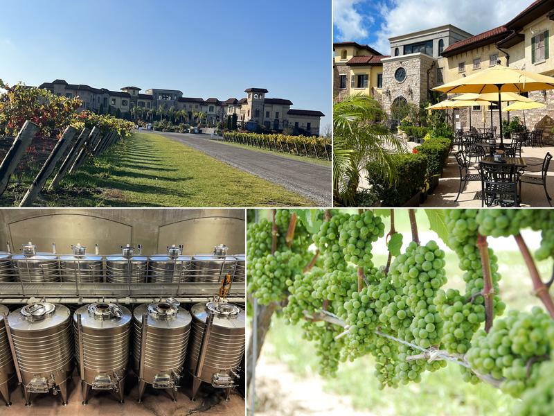 Colaneri Estate Winery 348 Concession 6 Rd, Niagara-on-the-Lake