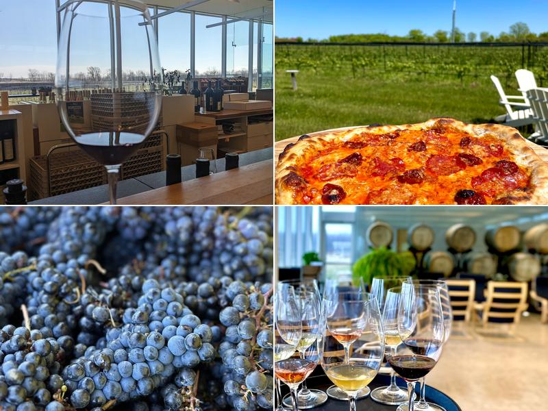 Southbrook Organic Vineyards 581 Niagara Stone Rd, Niagara-on-the-Lake