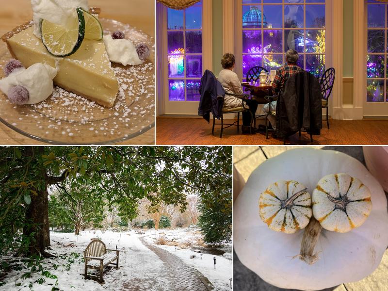 Garden Cafe at Lewis Ginter