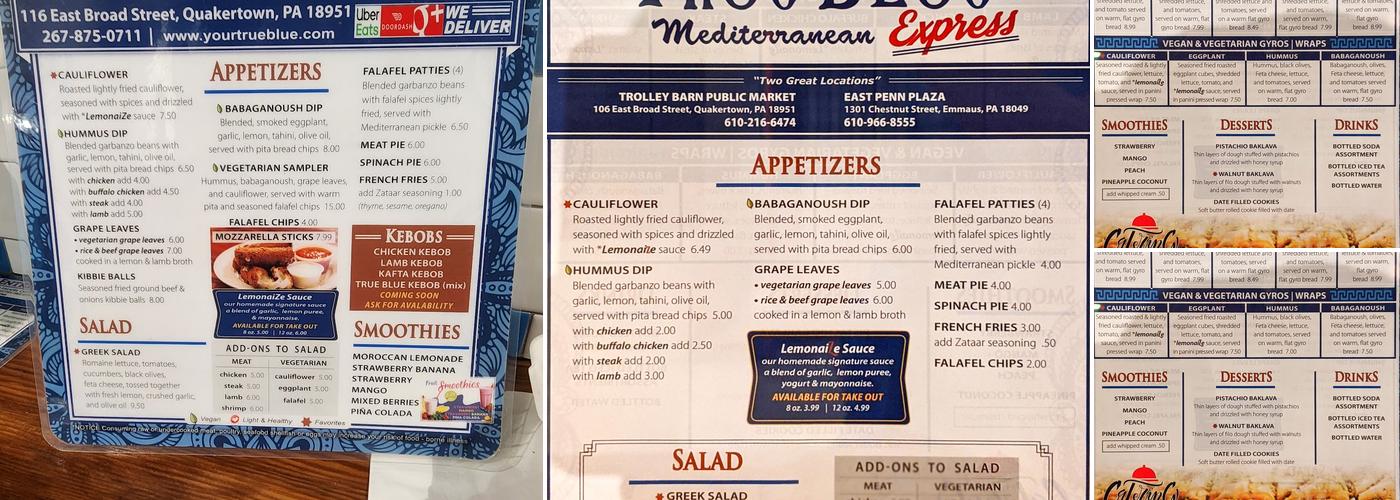 True Blue Mediterranean Grill Menu