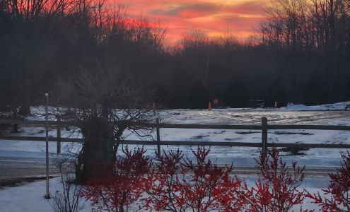 Country Pine Farms, LLC Holland