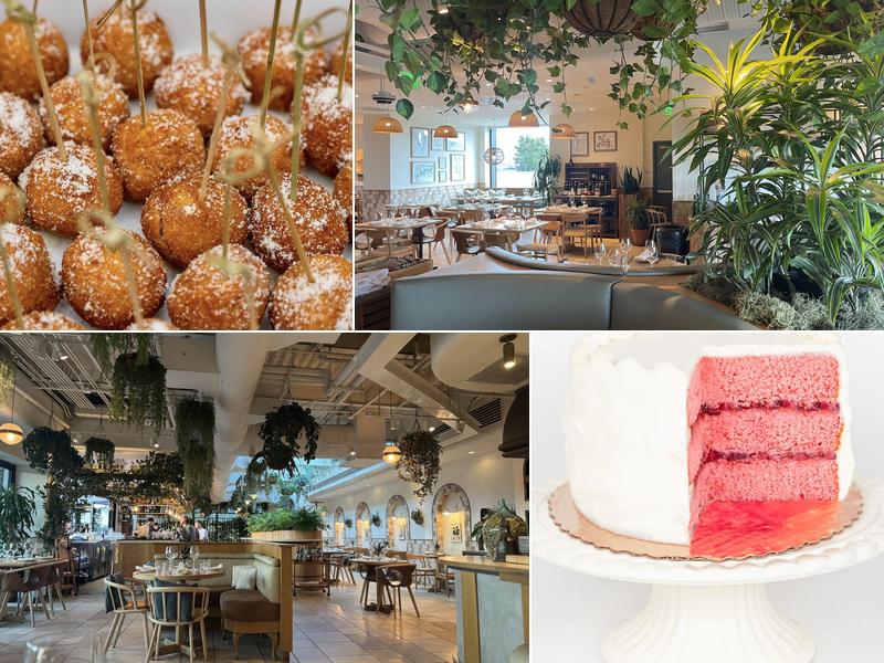 Terra 8687 N Central Expy #2172, Dallas