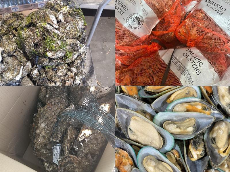 Modesto Fish Co 5616 Swanson Rd # Whrs, Denair