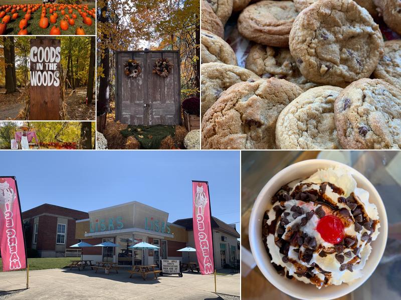 Lisa's Ice Cream and Donuts