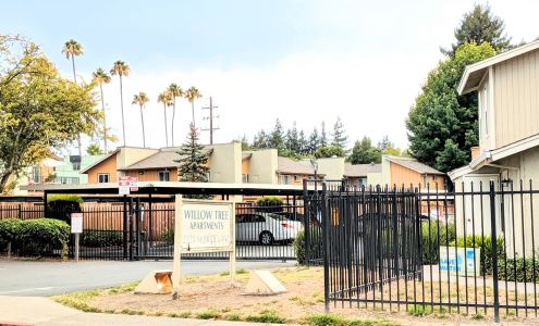 Willow Tree Apartments