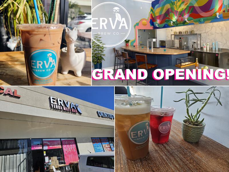 Erva Brew Co. Yerba Mate Iced Teas