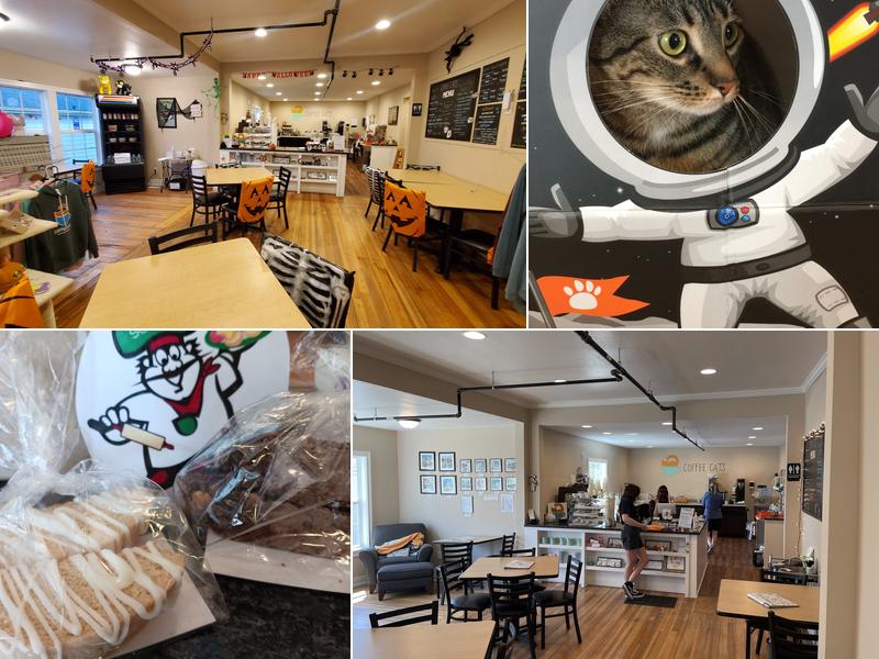 Coffee Cats Cafe 312 5th St, West Des Moines