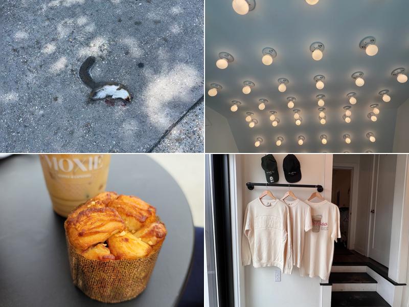 MOXIE coffee & espresso 3101 Metairie Rd, Metairie