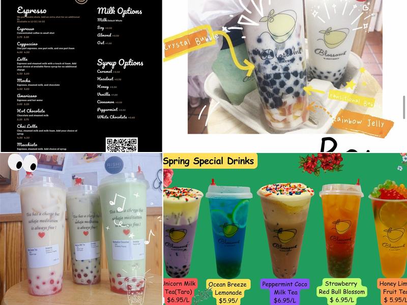 Blossom Juicy Bar (Bigger Rd) Menu