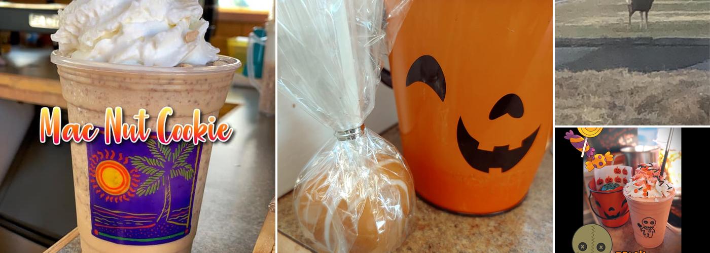 Back Country Mudd Espresso