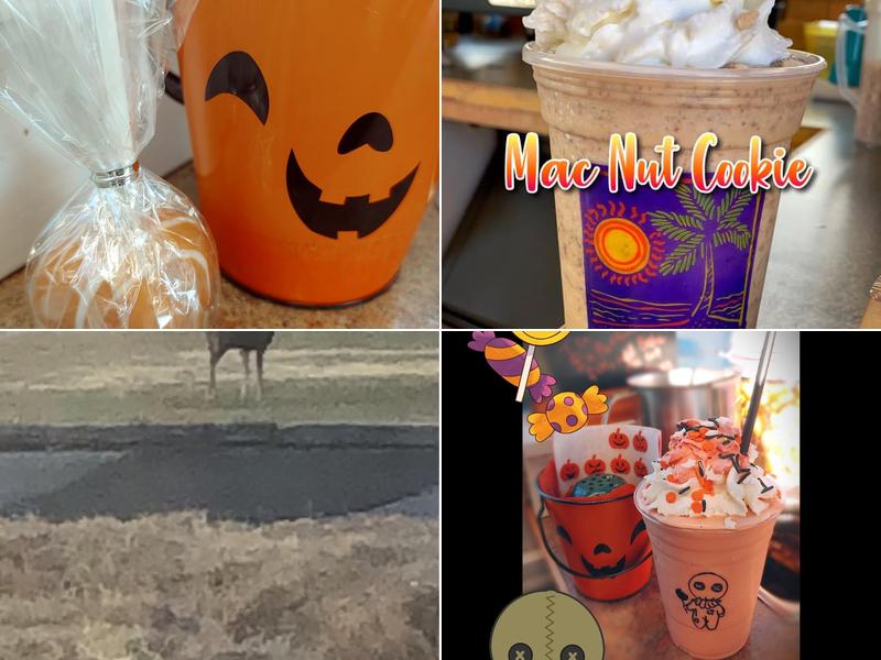 Back Country Mudd Espresso