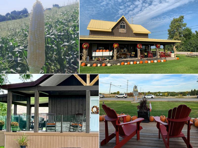 Dyment's Market + Bakery