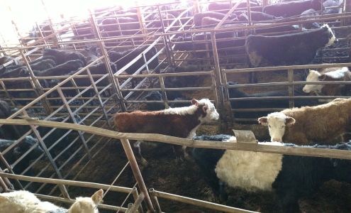 Fairview Sale Barn Fairview