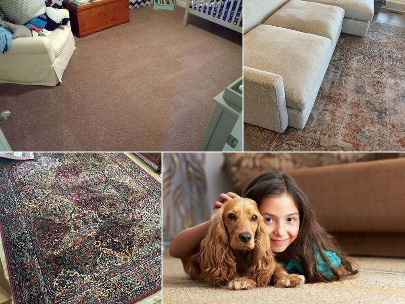 Safe-Dry Carpet Cleaning of Spring Hill