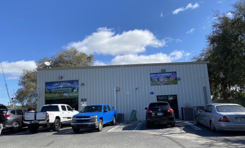 Orlando Live Poultry