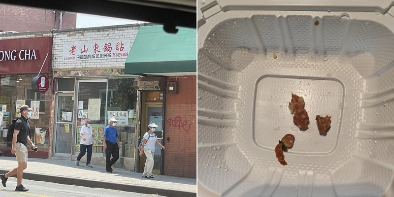 Fried Dumpling Shan Tong