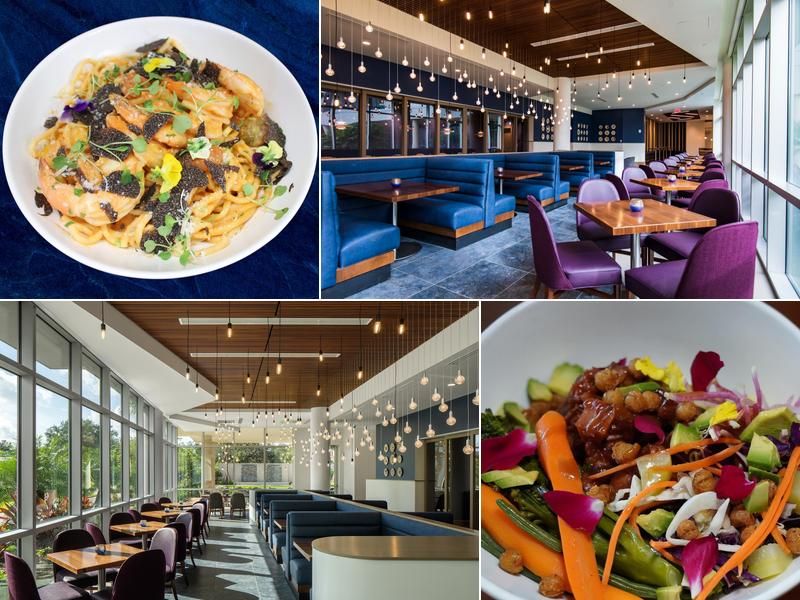 Aurora at the Celeste