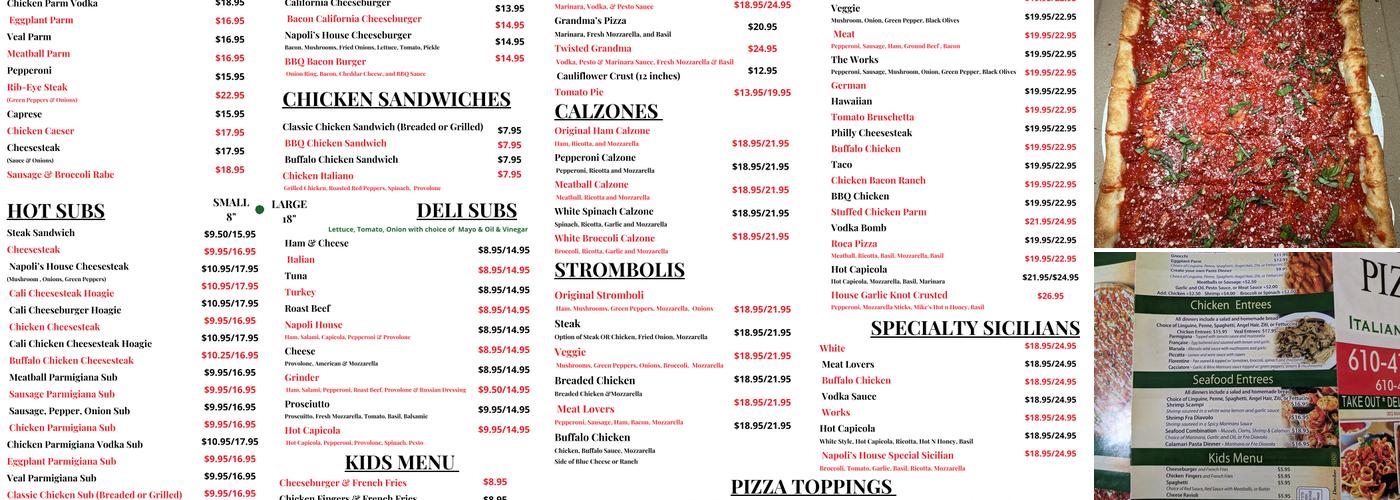 Napoli Pizza and Italian Cuisine Menu