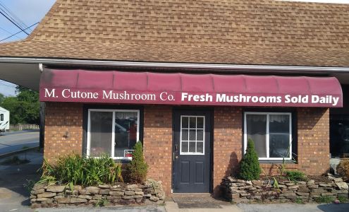 M. Cutone Mushroom Co, Inc.