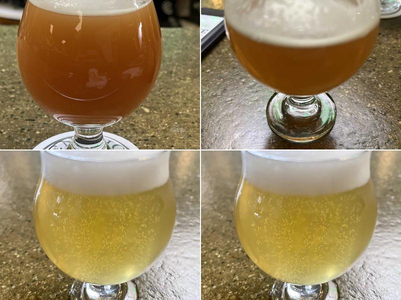 Concentric Brewing Company