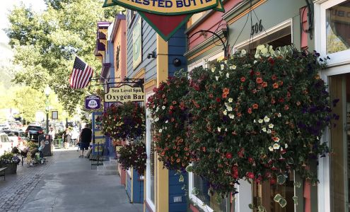 Shades of Crested Butte 306 Elk Ave, Crested Butte Colorado 81224