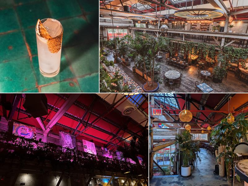 Fandi Mata 74 Bayard St, Brooklyn