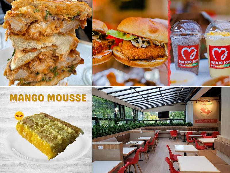 MAJOR JOY Flavoured Chicken