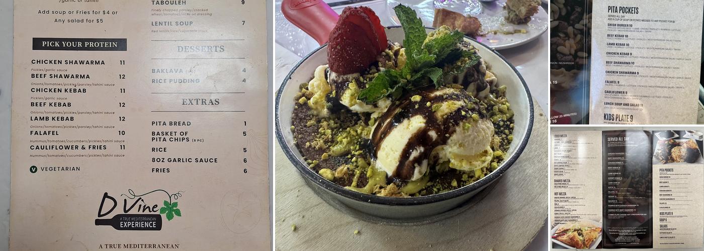 Dvine Mediterranean Experience Menu