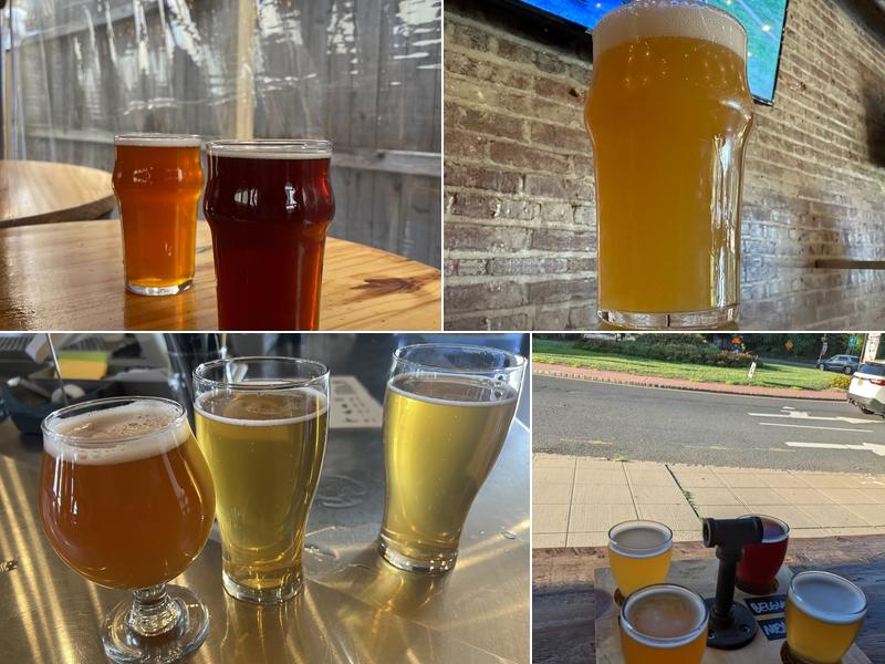 Lions Roar Brewing Co.